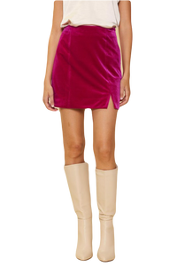 Velvet Skirt